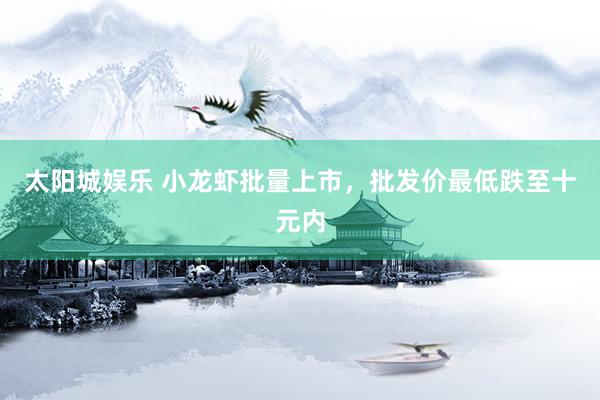 太阳城娱乐 小龙虾批量上市，批发价最低跌至十元内