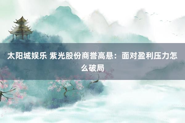 太阳城娱乐 紫光股份商誉高悬：面对盈利压力怎么破局