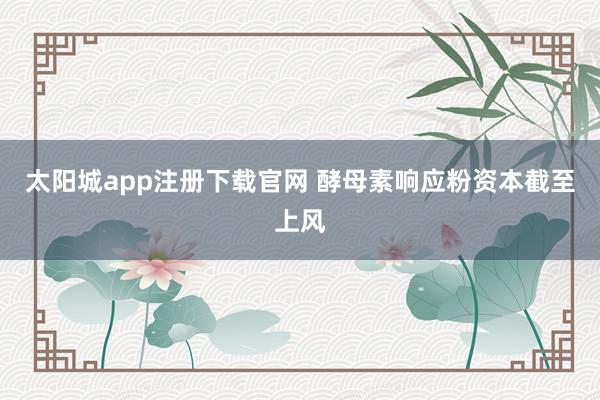 太阳城app注册下载官网 酵母素响应粉资本截至上风