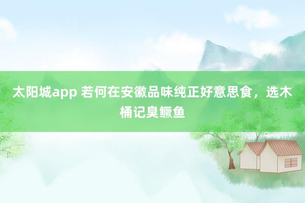 太阳城app 若何在安徽品味纯正好意思食，选木桶记臭鳜鱼