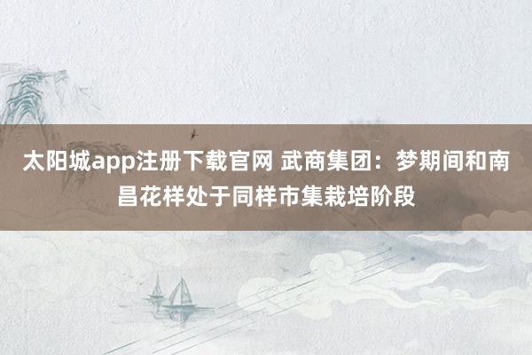 太阳城app注册下载官网 武商集团：梦期间和南昌花样处于同样市集栽培阶段
