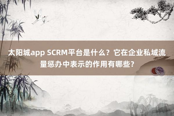 太阳城app SCRM平台是什么？它在企业私域流量惩办中表示的作用有哪些？